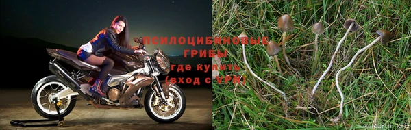 меф VHQ Гусев